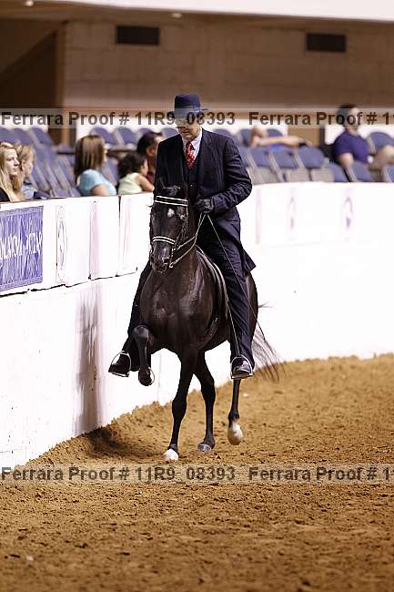 Proof 11r9_08393