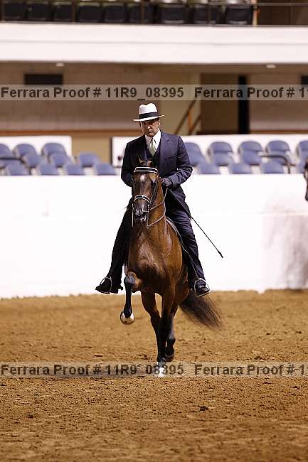 Proof 11r9_08395