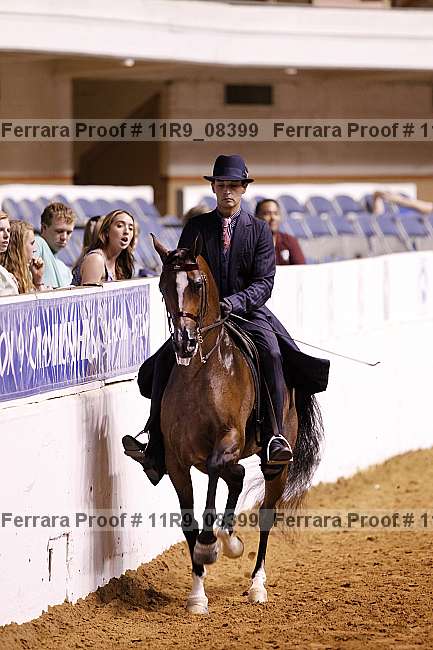 Proof 11r9_08399