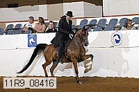 11r9_08416 proof
