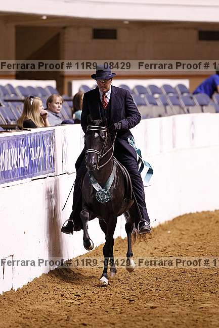 Proof 11r9_08429