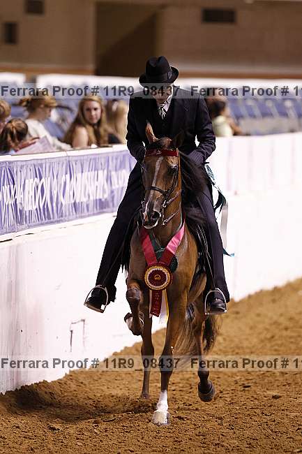Proof 11r9_08437