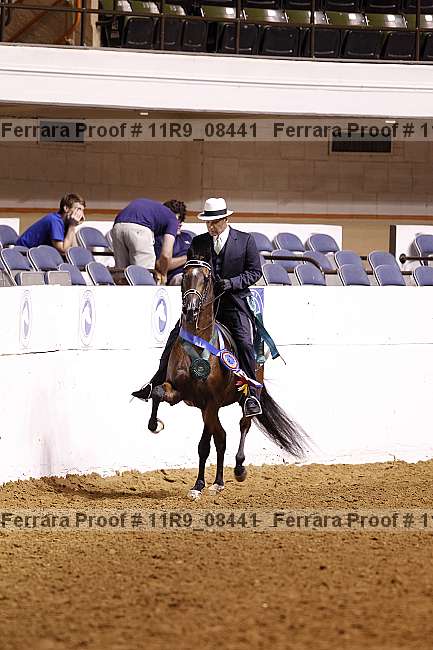 Proof 11r9_08441