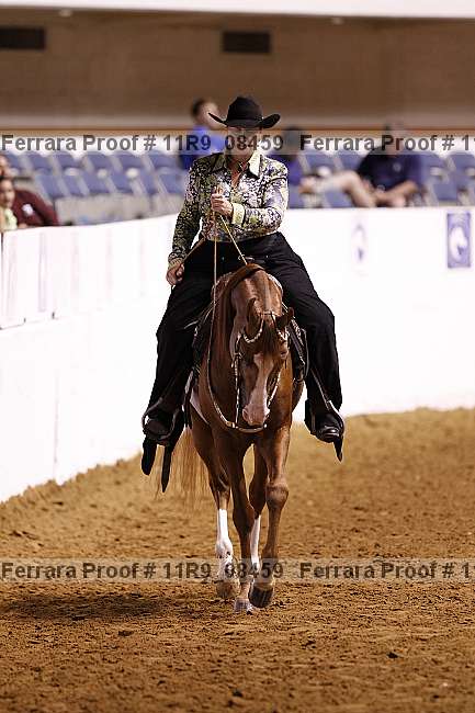 Proof 11r9_08459