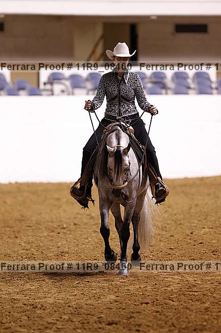 Proof 11r9_08460