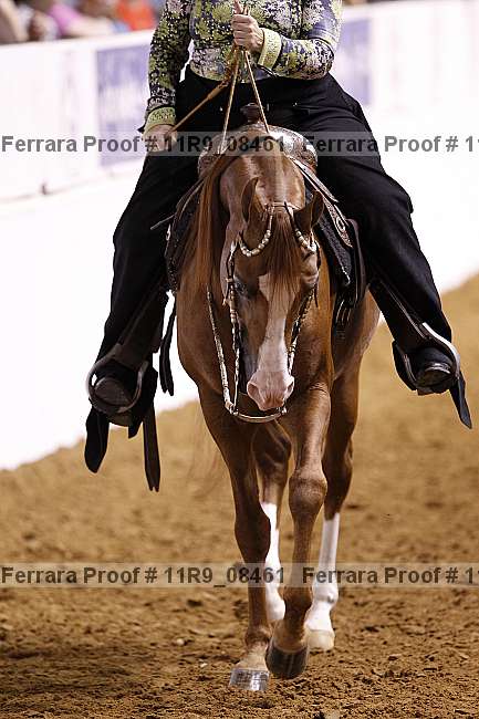 Proof 11r9_08461