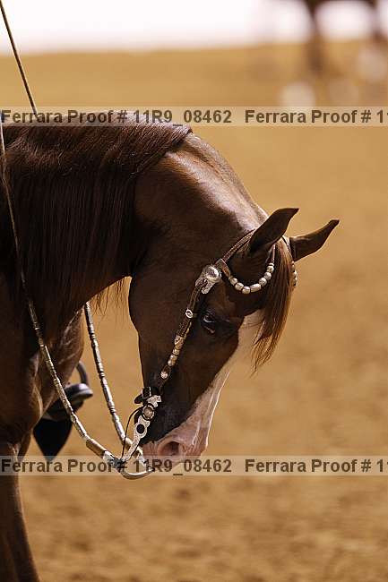 Proof 11r9_08462