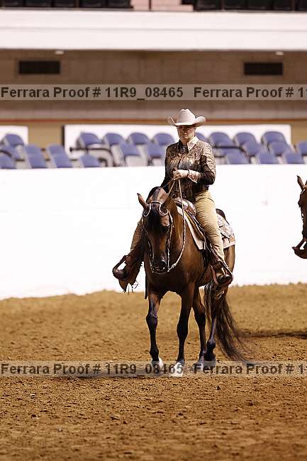 Proof 11r9_08465