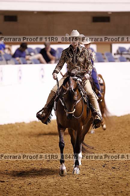 Proof 11r9_08475