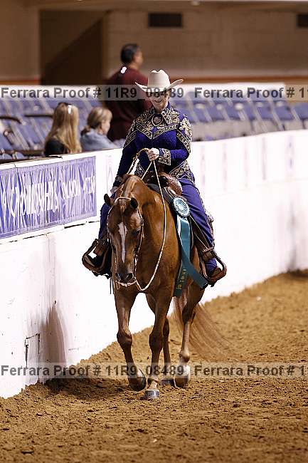 Proof 11r9_08489