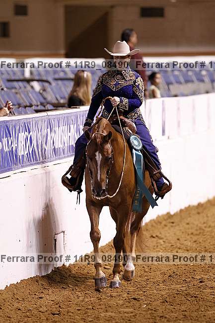 Proof 11r9_08490