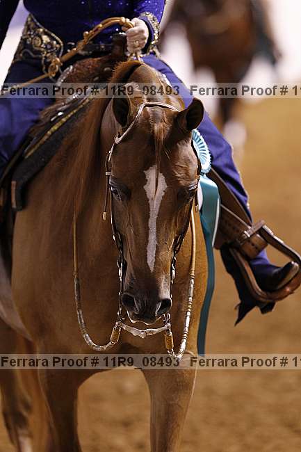 Proof 11r9_08493