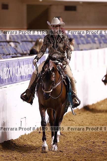 Proof 11r9_08495