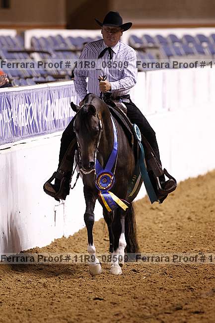 Proof 11r9_08509