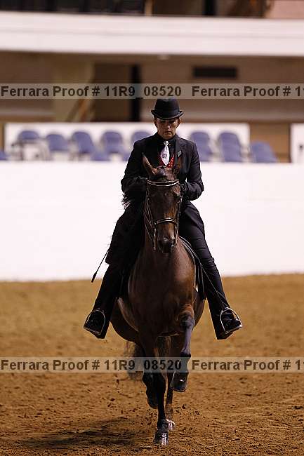 Proof 11r9_08520