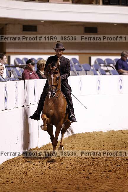 Proof 11r9_08536