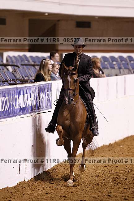 Proof 11r9_08537