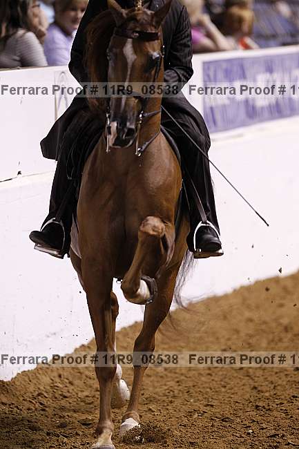 Proof 11r9_08538