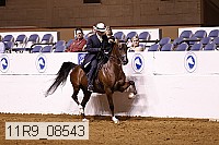 11r9_08543 proof
