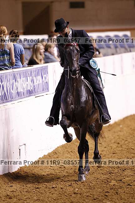 Proof 11r9_08557