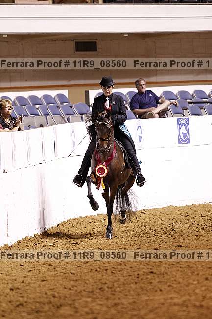 Proof 11r9_08560
