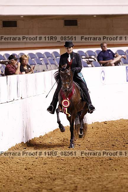 Proof 11r9_08561