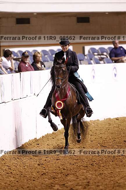 Proof 11r9_08562