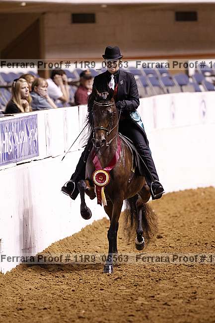 Proof 11r9_08563