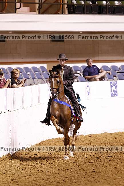 Proof 11r9_08569