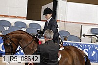11r9_08642 proof