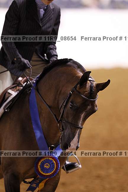Proof 11r9_08654