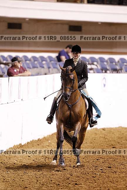 Proof 11r9_08655
