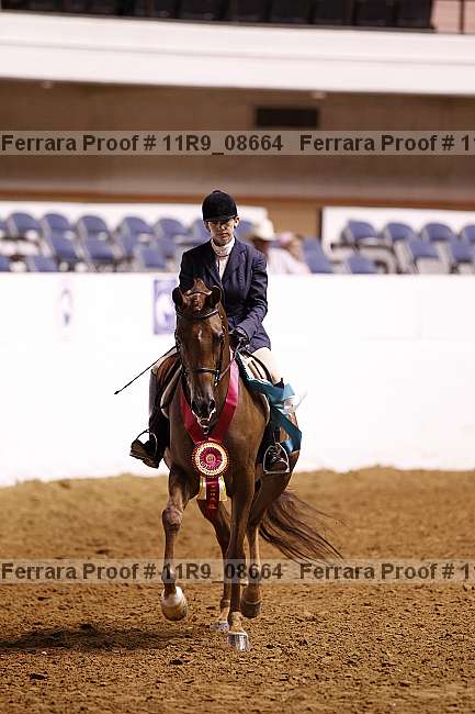 Proof 11r9_08664