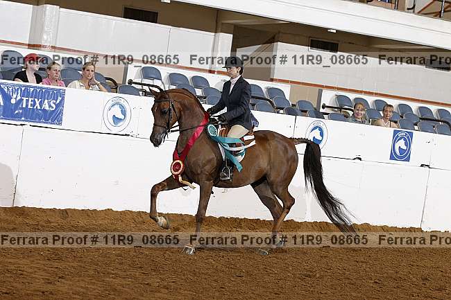 Proof 11r9_08665