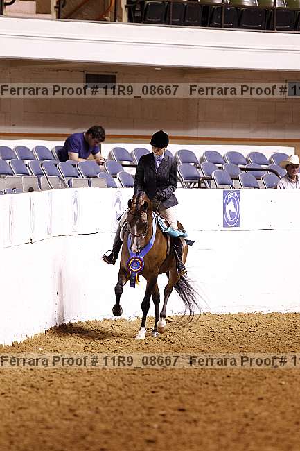 Proof 11r9_08667