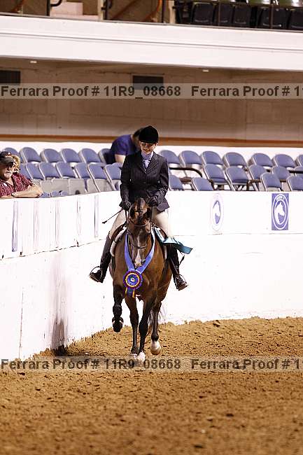 Proof 11r9_08668