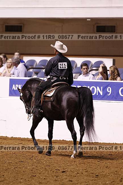Proof 11r9_08677