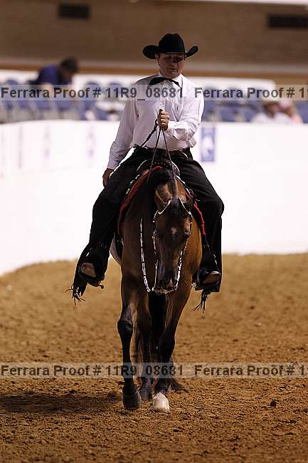 Proof 11r9_08681
