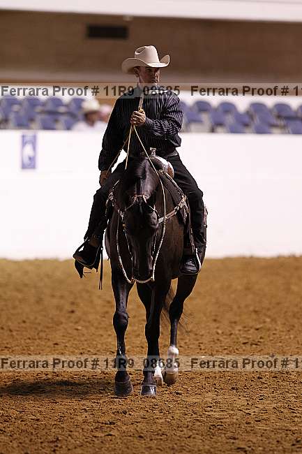 Proof 11r9_08685