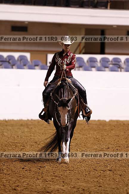 Proof 11r9_08693