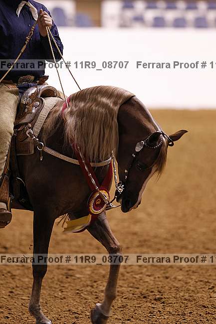 Proof 11r9_08707