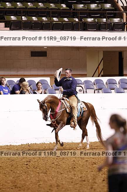 Proof 11r9_08719