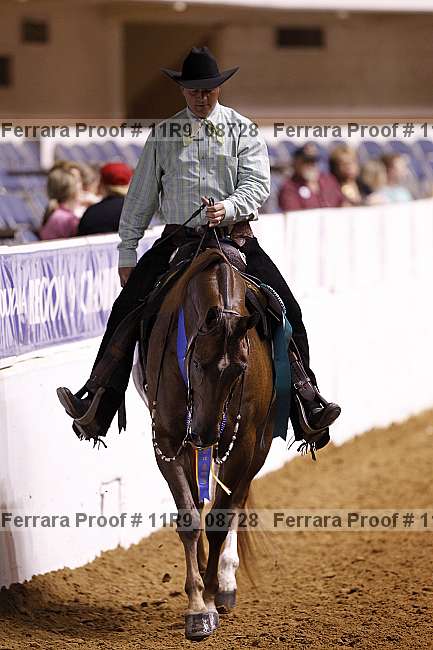 Proof 11r9_08728