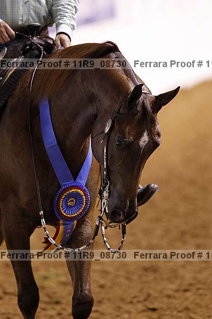 Proof 11r9_08730