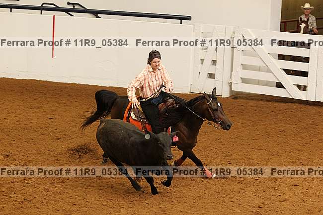 Proof 11r9_05384