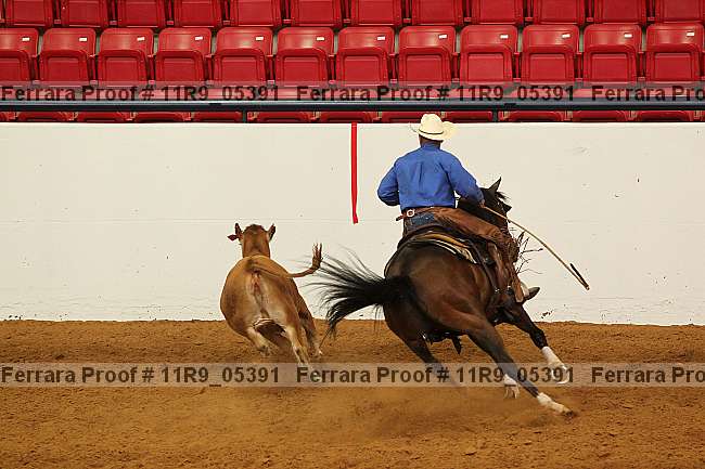 Proof 11r9_05391