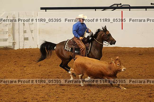 Proof 11r9_05395