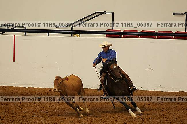 Proof 11r9_05397