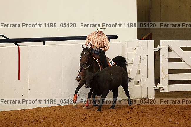 Proof 11r9_05420