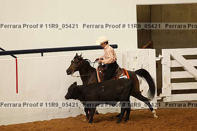 Proof 11r9_05421